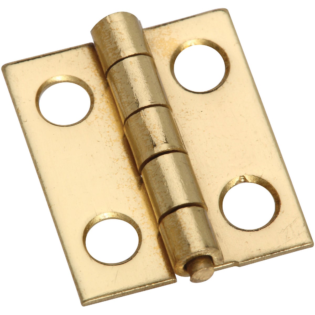 National Hardware 3/4 In. x 5/8 In. Narrow Brass Decorative Hinge (4-Pack)