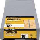 Hillman Fas-n-Tite 10 In. Bright Common Spikes (15-Count) Image 1