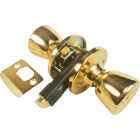 United States Hardware Polished Brass Hall & Closet Door Knob Image 1