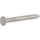 Hillman Fas-n-Tite 1-1/2 In. Joist Hanger Nail (1 Lb.) Image 2