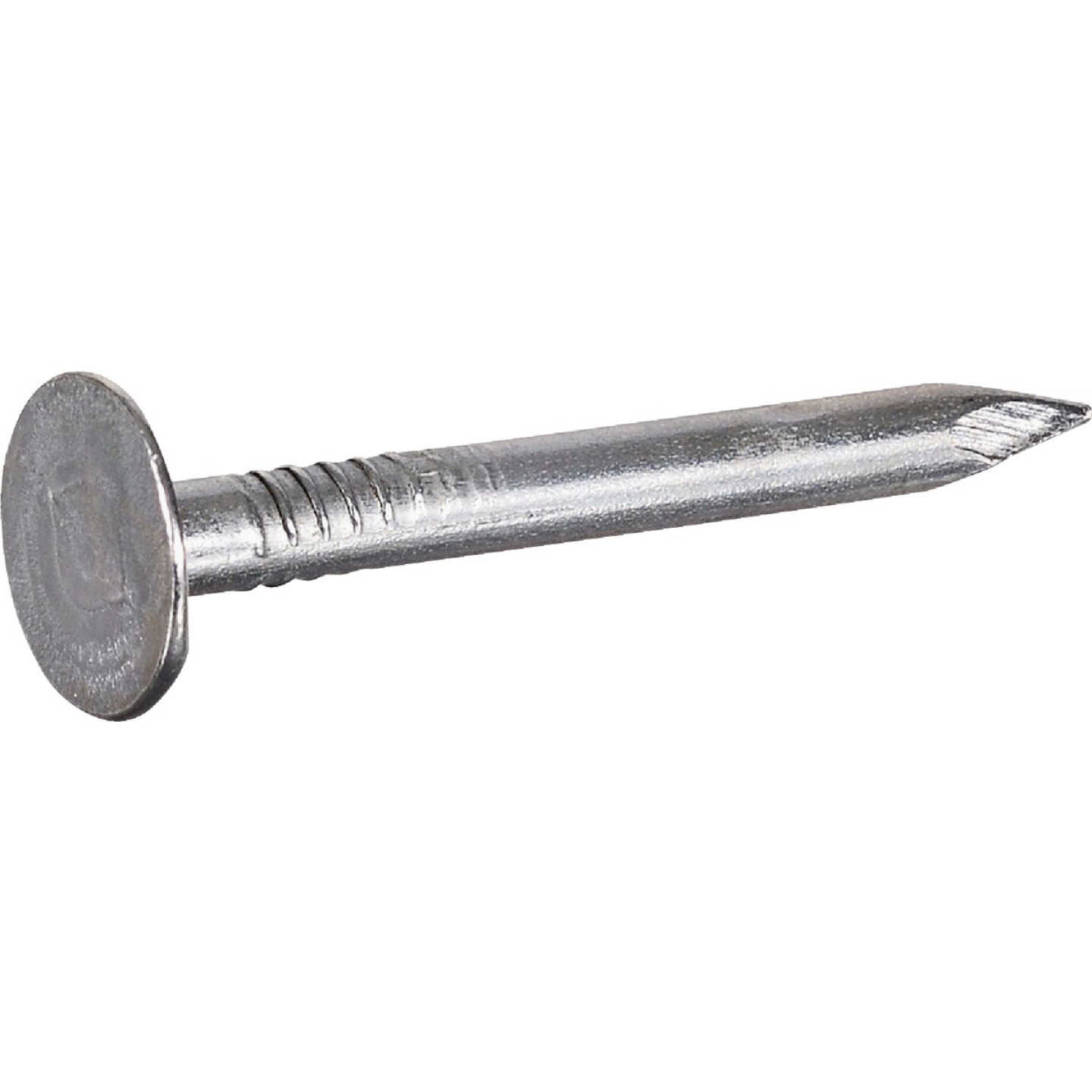 Hillman Fas-n-Tite 1-1/4 In. Electrogalvanized Roofing Nails (5 Lb.) Image 1