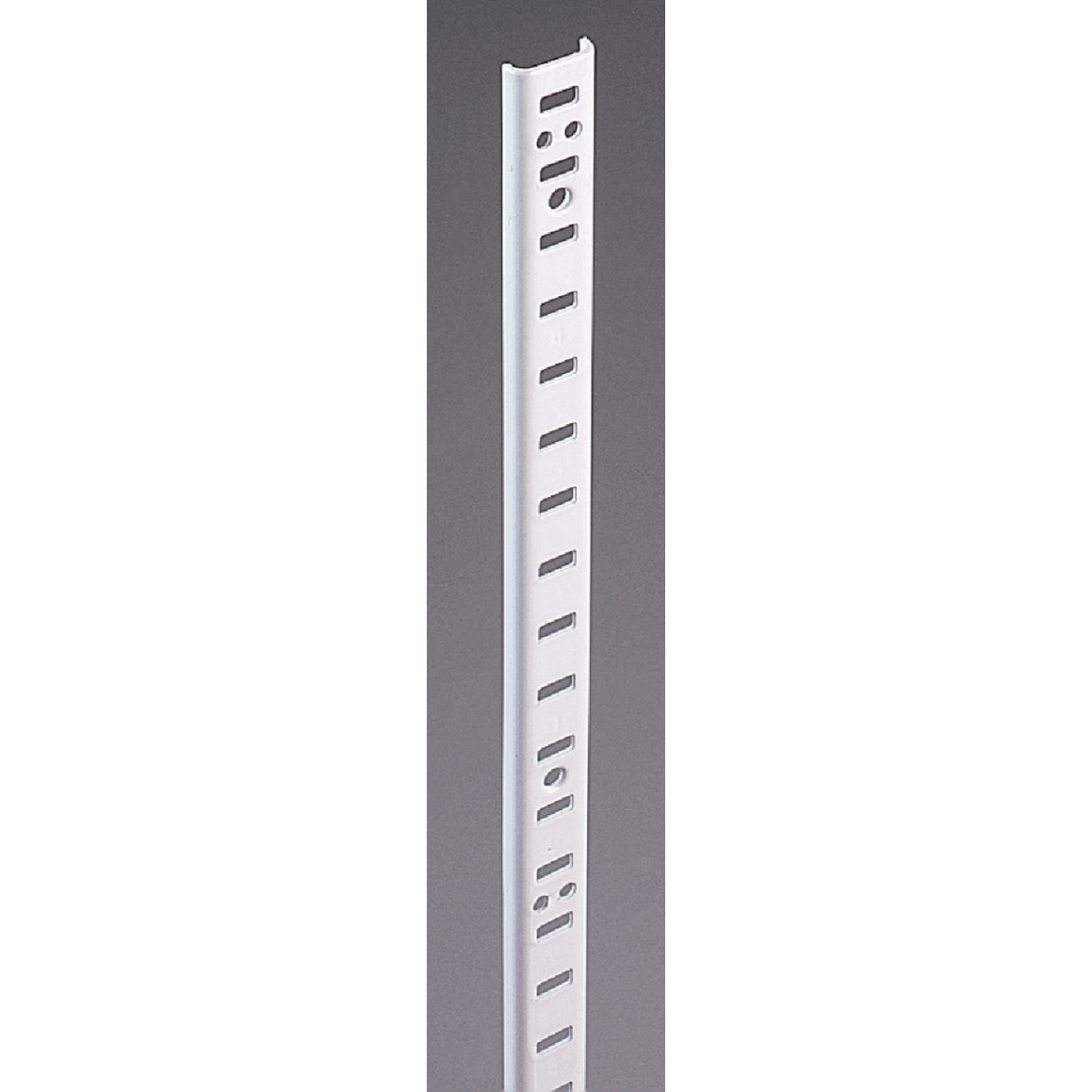 Knape & Vogt 255 Series 48 In. Zinc-Plated Steel Mortise-Mount Pilaster Shelf Standard Image 1