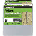 Hillman Fas-n-Tite 6 In. Hot Dipped Galvanized Polebarn Nails (85-Count) Image 1