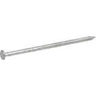 Hillman Fas-n-Tite 6 In. Hot Dipped Galvanized Polebarn Nails (85-Count) Image 2