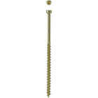 SPAX #8 x 3-1/8 In. T10 Plus Cylindrical Head HCR (Exterior Rated) Yellow Trim Screw (100 Ct.) Image 1