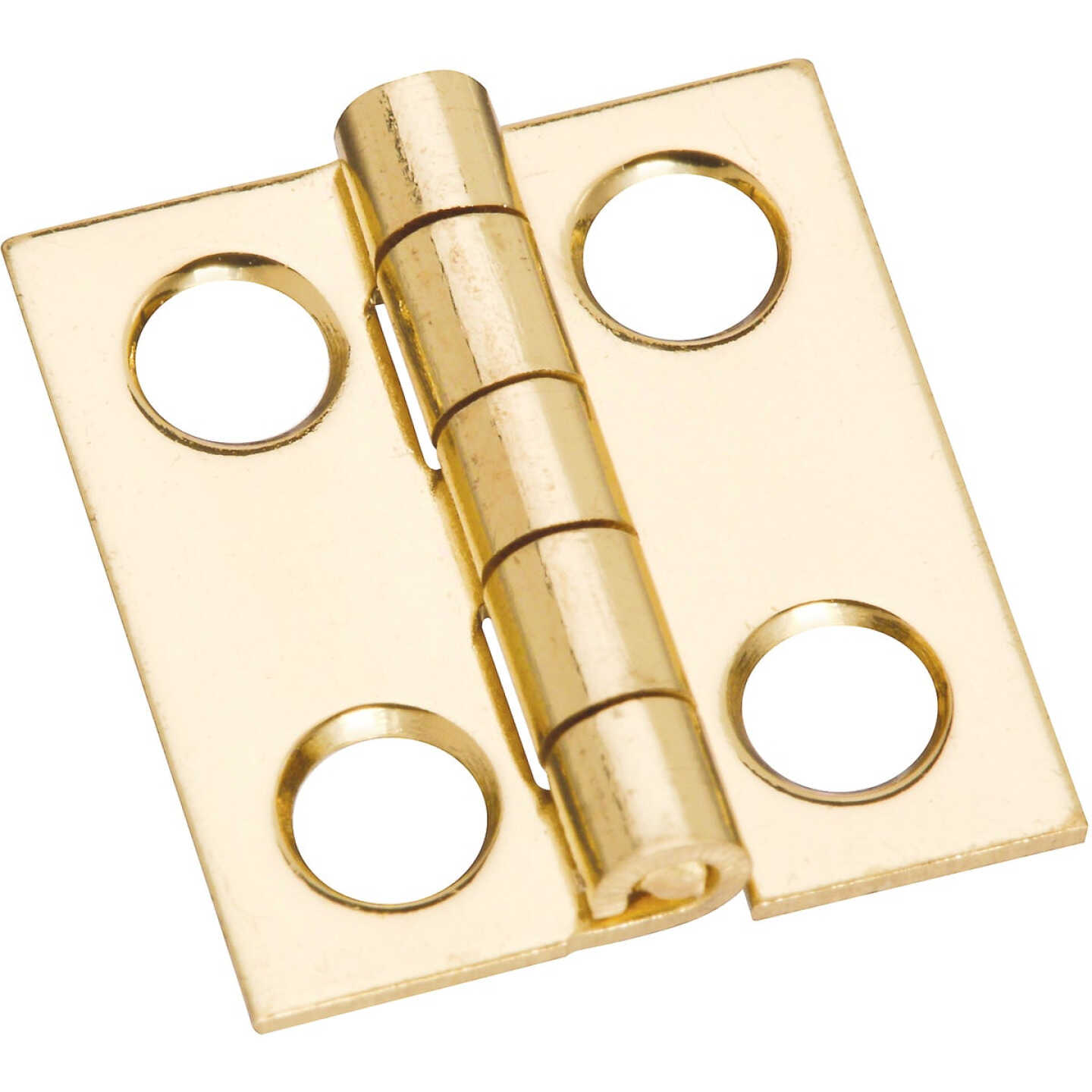National Hardware 3/4 In. x 11/16 In. Medium Clear Coat Decorative Hinge Image 1