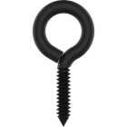 National Hardware 0, 2-7/8 In. Storm Shine Screw Eye (2-Count) Image 1