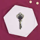 Lucky Line Skeleton Key Shapes Decorative House Key - SC1 Image 2