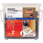 Simpson Strong-Tie Strong-Drive SDWS Quik Guard 0.160 In. x 3 In. T25 Framing Screw (250-Count) Image 1