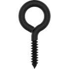 National Hardware 3/16 In. X 3 In. Storm Shine Lag Screw Eye (2-Count) Image 1