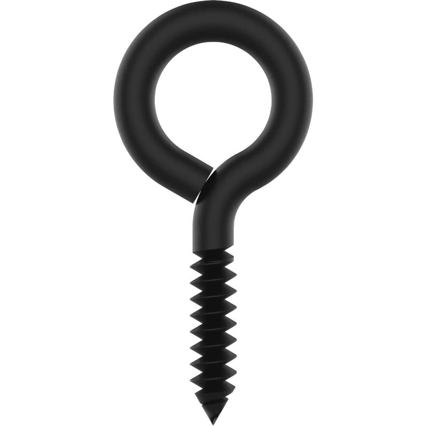 National Hardware 3/16 In. X 3 In. Storm Shine Lag Screw Eye (2-Count) Image 1