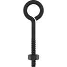 National Hardware 1/2 In. x 8 In. Storm Shine Eye Bolt with Nut Image 1
