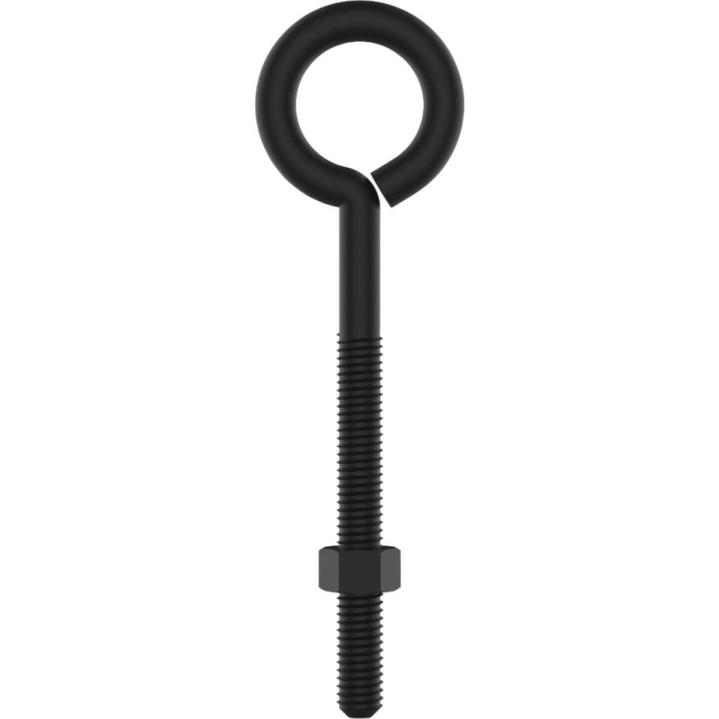 National Hardware 3/8 In. x 5 In. Storm Shine Eye Bolt with Nut Image 1