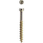SPAX #8 x 1-1/2 In. T10 Plus Cylindrical Head HCR (Exterior Rated) Yellow Trim Screw (100 Ct.) Image 1