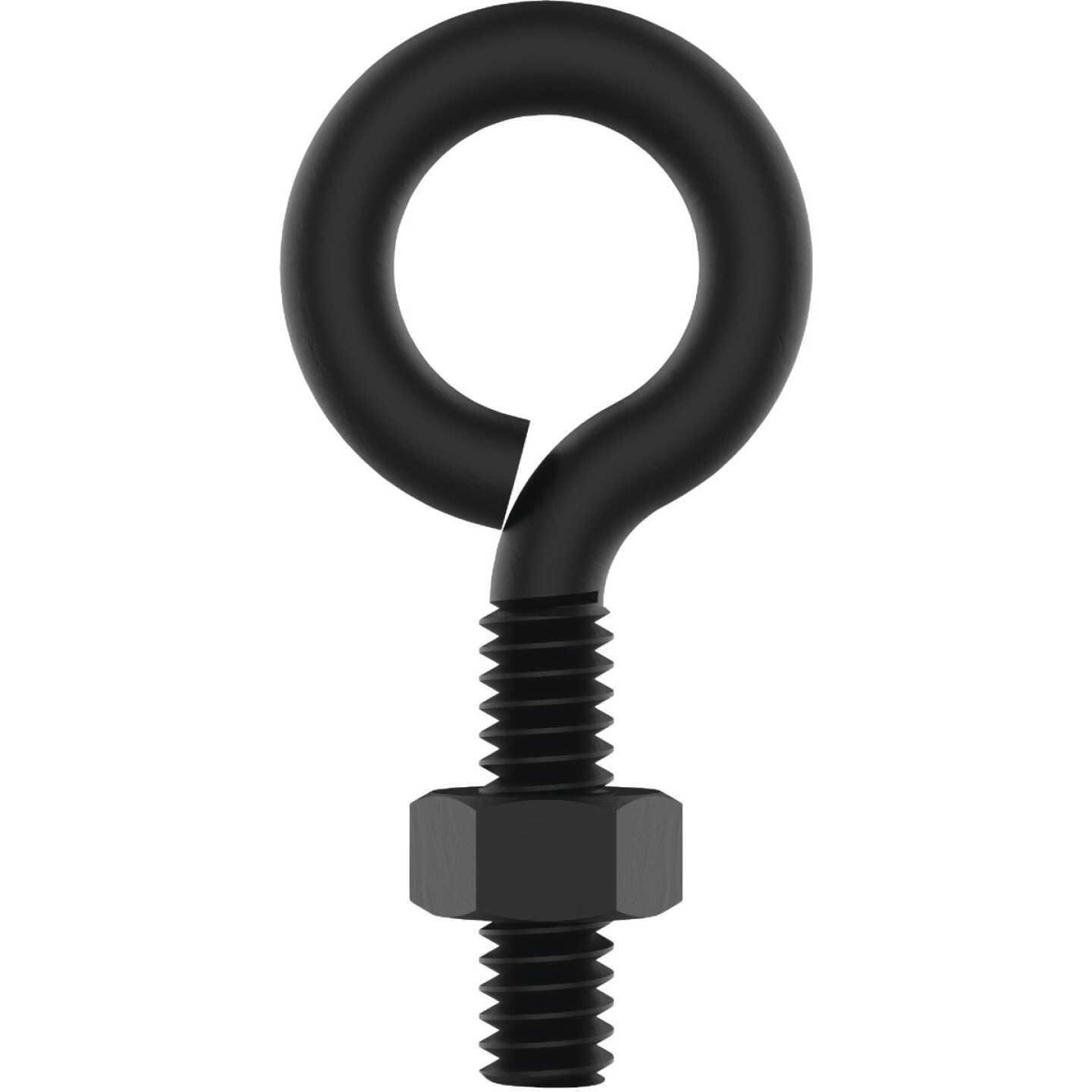 National Hardware 1/4 In. x 2 In. Storm Shine Eye Bolt with Nut Image 1