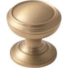 Amerock Revitalize Round Golden Champagne Cabinet Knob Image 1