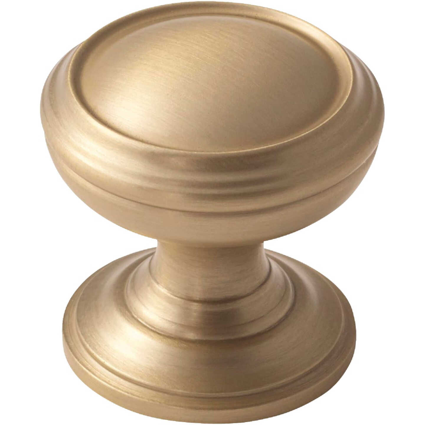 Amerock Revitalize Round Golden Champagne Cabinet Knob Image 1