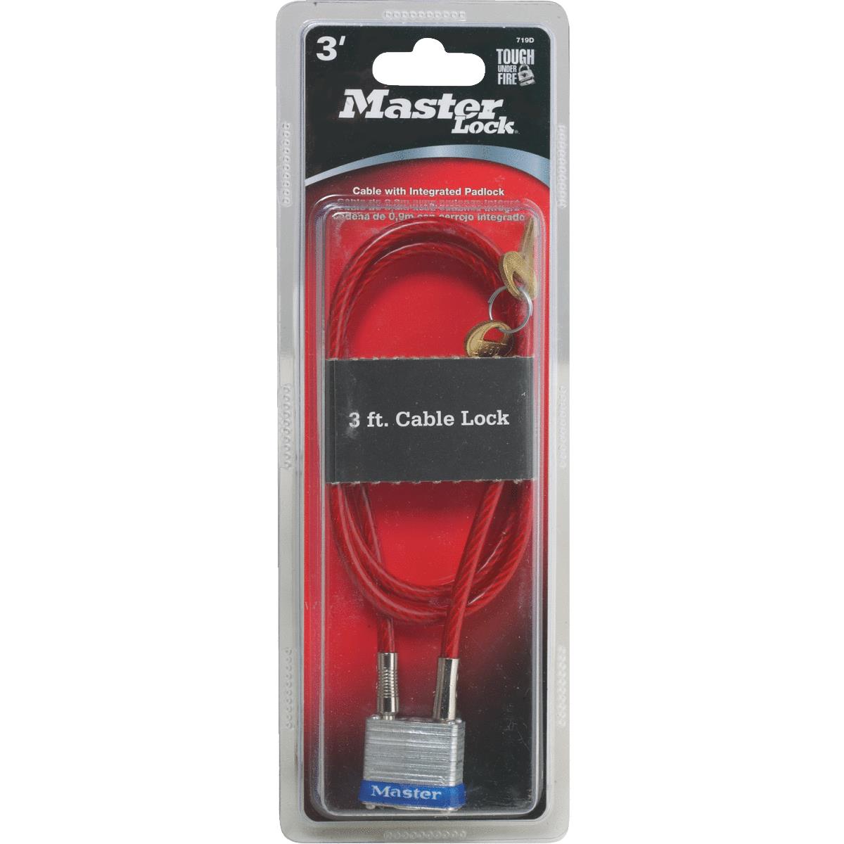 Cable & Chain Locks