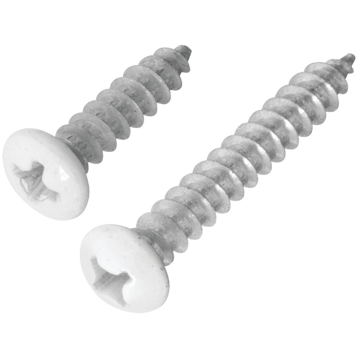 National Hardware Phillips Steel Shelf Bracket Screw, White (4-Count)