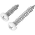 National Hardware Phillips Steel Shelf Bracket Screw, White (4-Count) Image 1