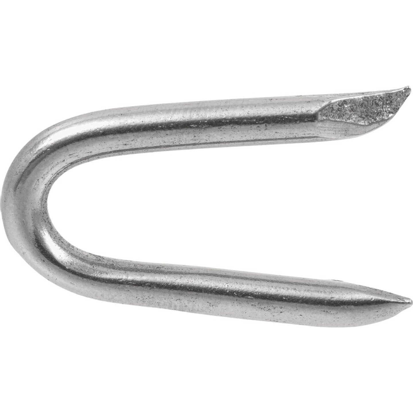 Hillman Fas-n-Tite 1-1/2 In. Hot Dipped Galvanized Fence Staples (50 Lb.) Image 1