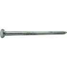 Do it Best 3-1/2 In. 6d Bright Common Nails (440 Ct., 10 Lb.) Image 2