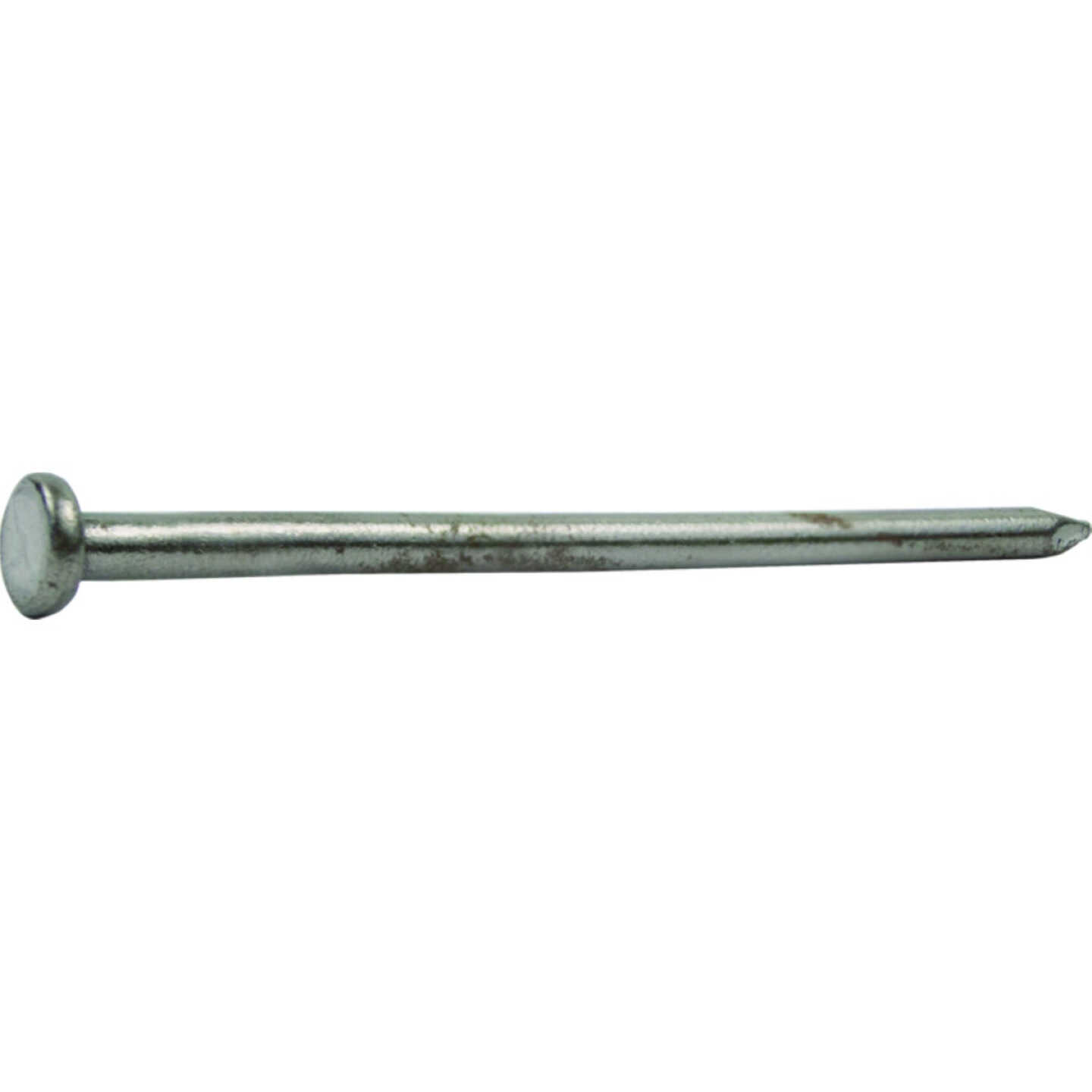 Do it Best 3-1/2 In. 6d Bright Common Nails (440 Ct., 10 Lb.) Image 2