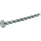 Do it Best 2-1/2 In. 8d Bright Common Nails (900 Ct., 10 Lb.) Image 2