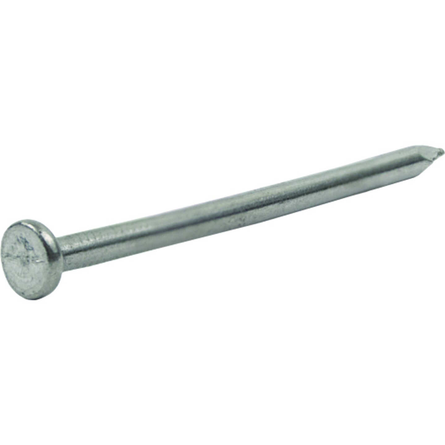 Do it Best 2-1/2 In. 8d Bright Common Nails (900 Ct., 10 Lb.) Image 2