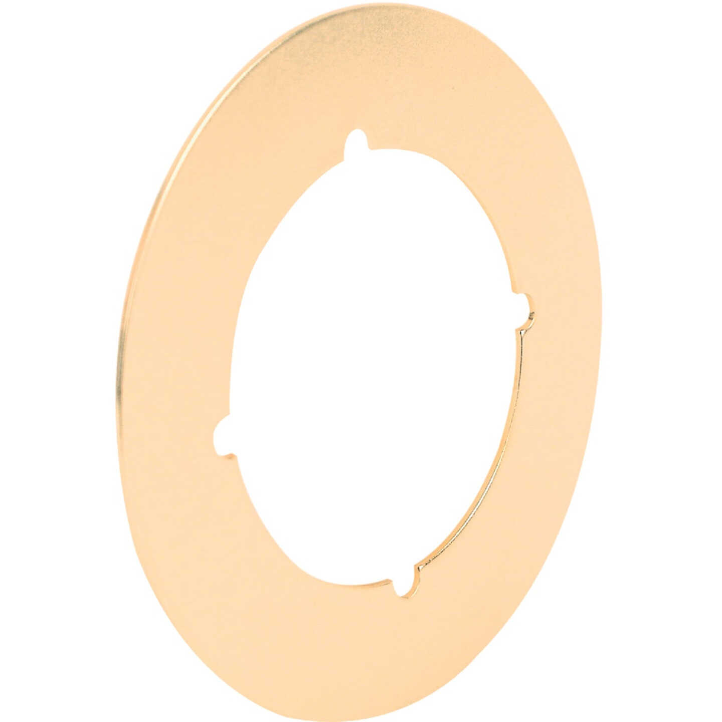 Defender Security Polished Brass Cover Plate Image 1