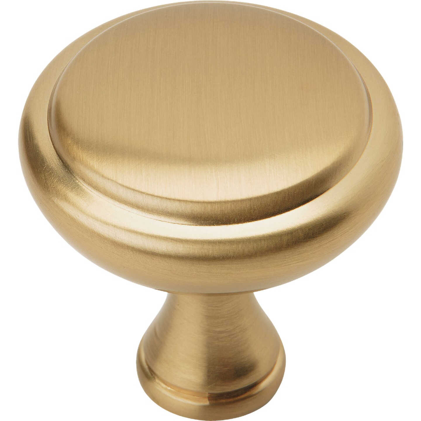 Amerock Arden 1.25 In. Dia. Champagne Bronze Cabinet Knob (6-Pack) Image 1