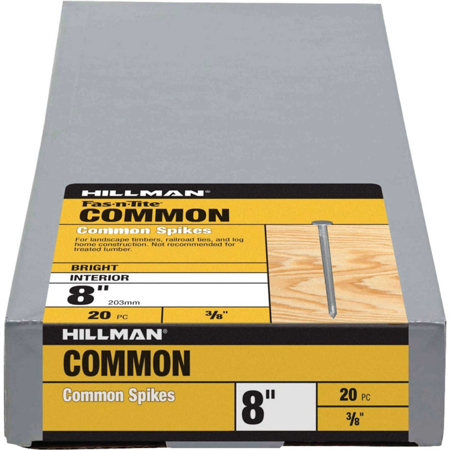 Hillman Fas-n-Tite 8 In. Bright Common Spikes (20-Count) Image 1