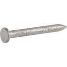 Hillman Fas-n-Tite 1-1/2 In. Joist Hanger Nail (5 Lb.) Image 2
