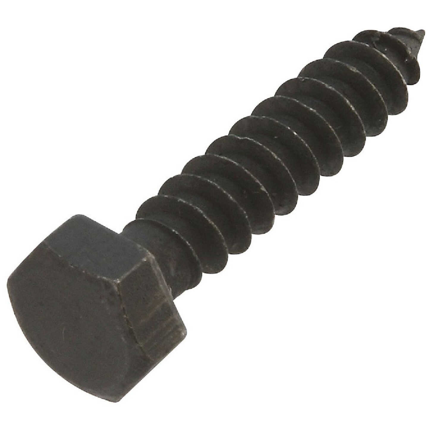 National Hardware 5/16 x 1-1/2 In. Black Zinc Lag Screw (6 Ct.) Image 1