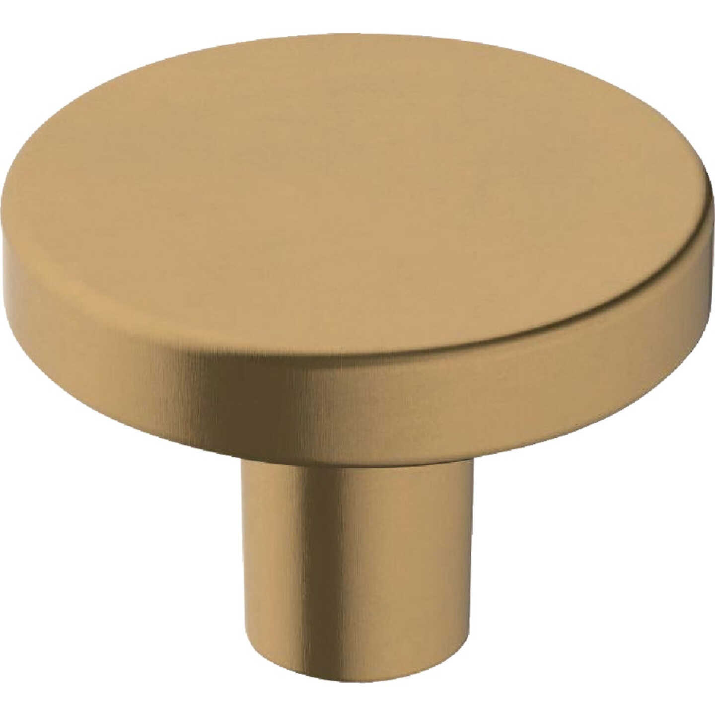 Amerock Versa 1.375 In. Dia. Round Champagne Bronze Cabinet Knob (6-Pack) Image 1