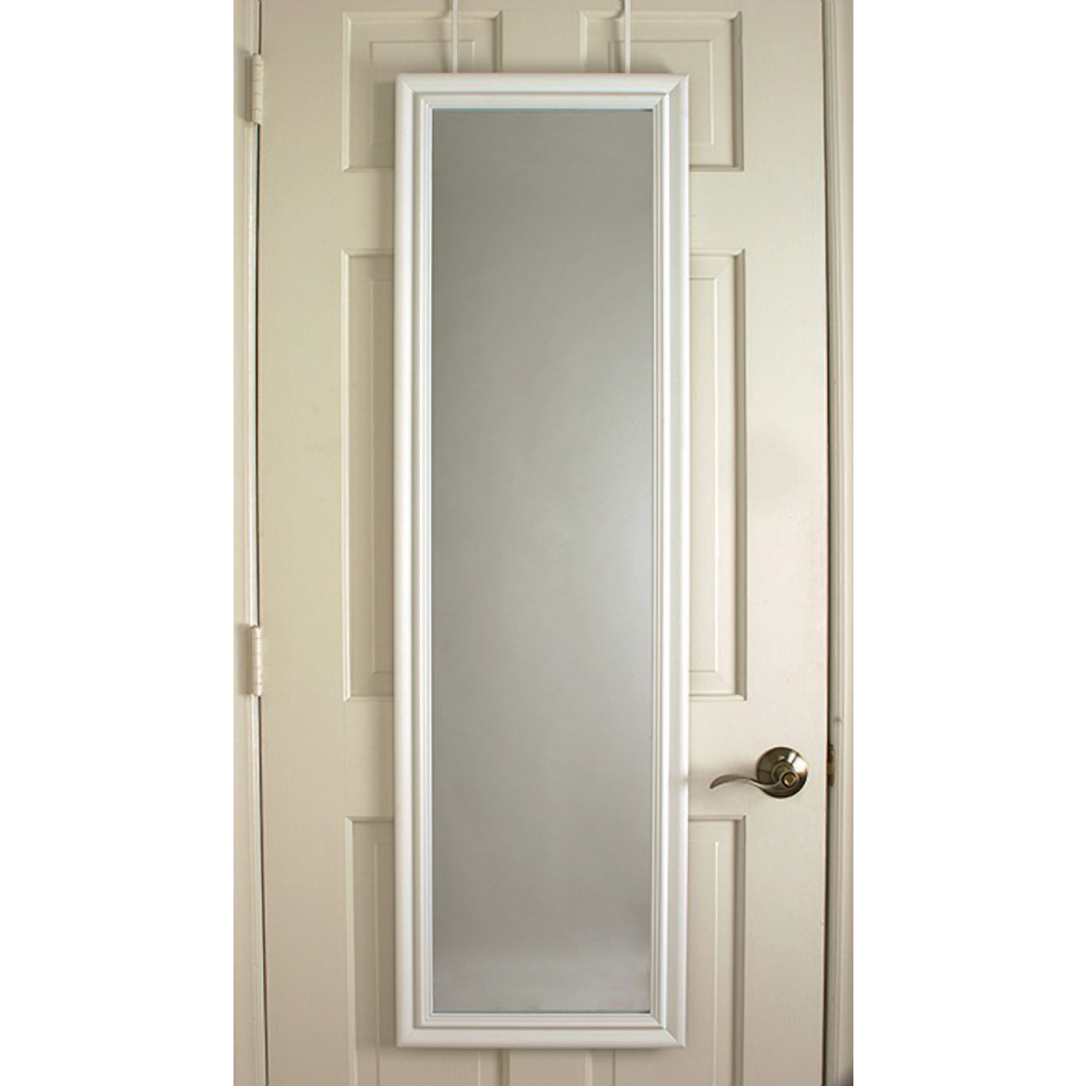 Renin Mackenzie 15 In. x 51 In. Over-the-Top Door Mirror