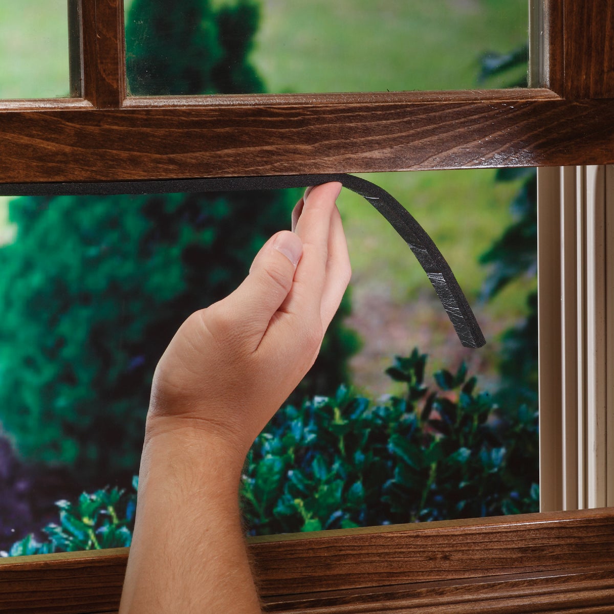 M-D Building Products 3/8 In. x 3/4 In. x 10 Ft. Black Sponge Window Seal for Large-Wide Gaps Image 3