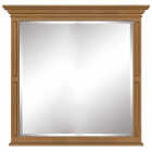 VE 36X36 MIRROR Image 1