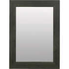Zenna Home 20 In. x 26 In. Wallowa Pine Framed Wall Mirror Image 1