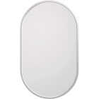 Zenna Home Designer Series Brushed Nickel 16 In. W x 27 In. H x 5 In. D Single Mirror Surface Mount Pill Framed Medicine Cabinet Image 1