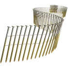 2-3/8" COIL FRAME NAIL Image 1