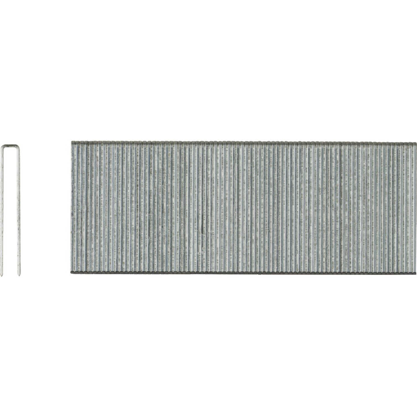 Pro-Fit 1/4 In. x 1-1/2 In. 18 Gauge Electro Galvanized L-Style Narrow Crown Staple (1000 Ct.) Image 1