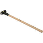 Do it Best 6 Lb Double-Faced Sledge Hammer with 36 In. Hickory Handle Image 5