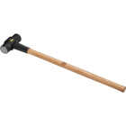 Do it Best 10 Lb. Double-Faced Sledge Hammer with 36 In. Hickory Handle Image 1