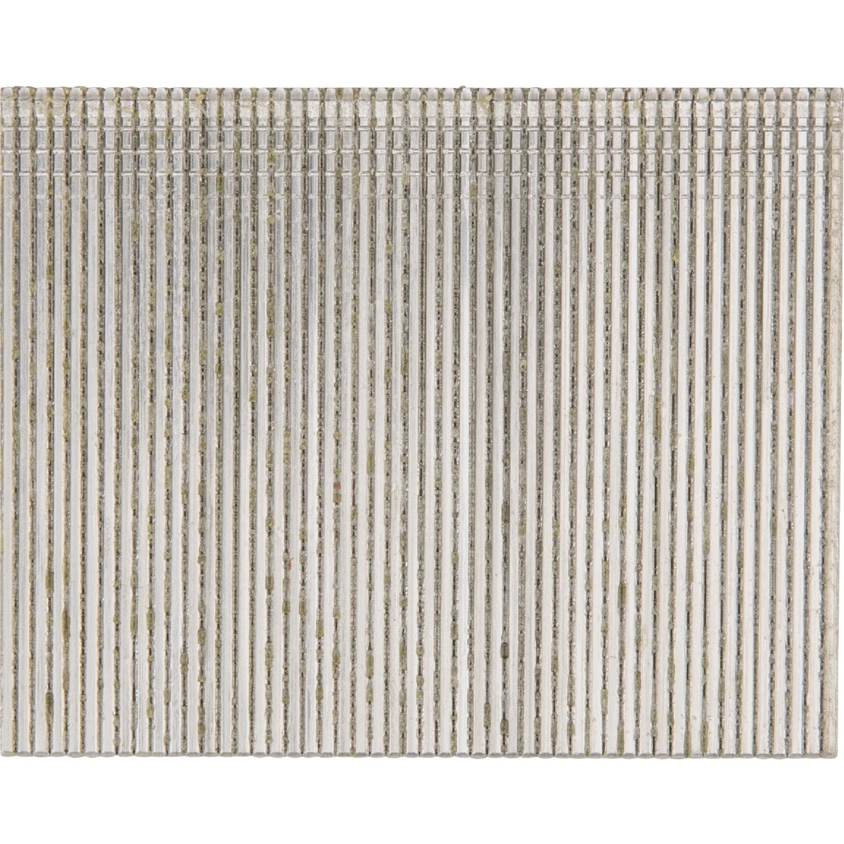 Pro-Fit 2-1/2 In. 16 Gauge 304-Stainless Steel Straight Finish Nail (1000 Ct.)