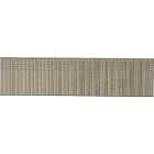 Pro-Fit 1-1/4 In. 18 Gauge 304-Stainless Steel Brad Nail (1000 Ct.) Image 1