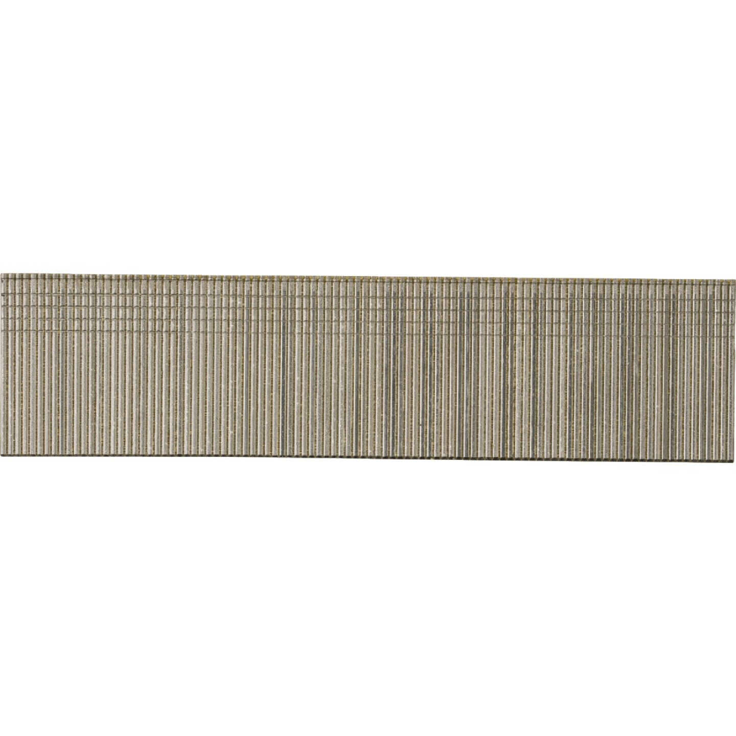 Pro-Fit 1-1/4 In. 18 Gauge 304-Stainless Steel Brad Nail (1000 Ct.) Image 1