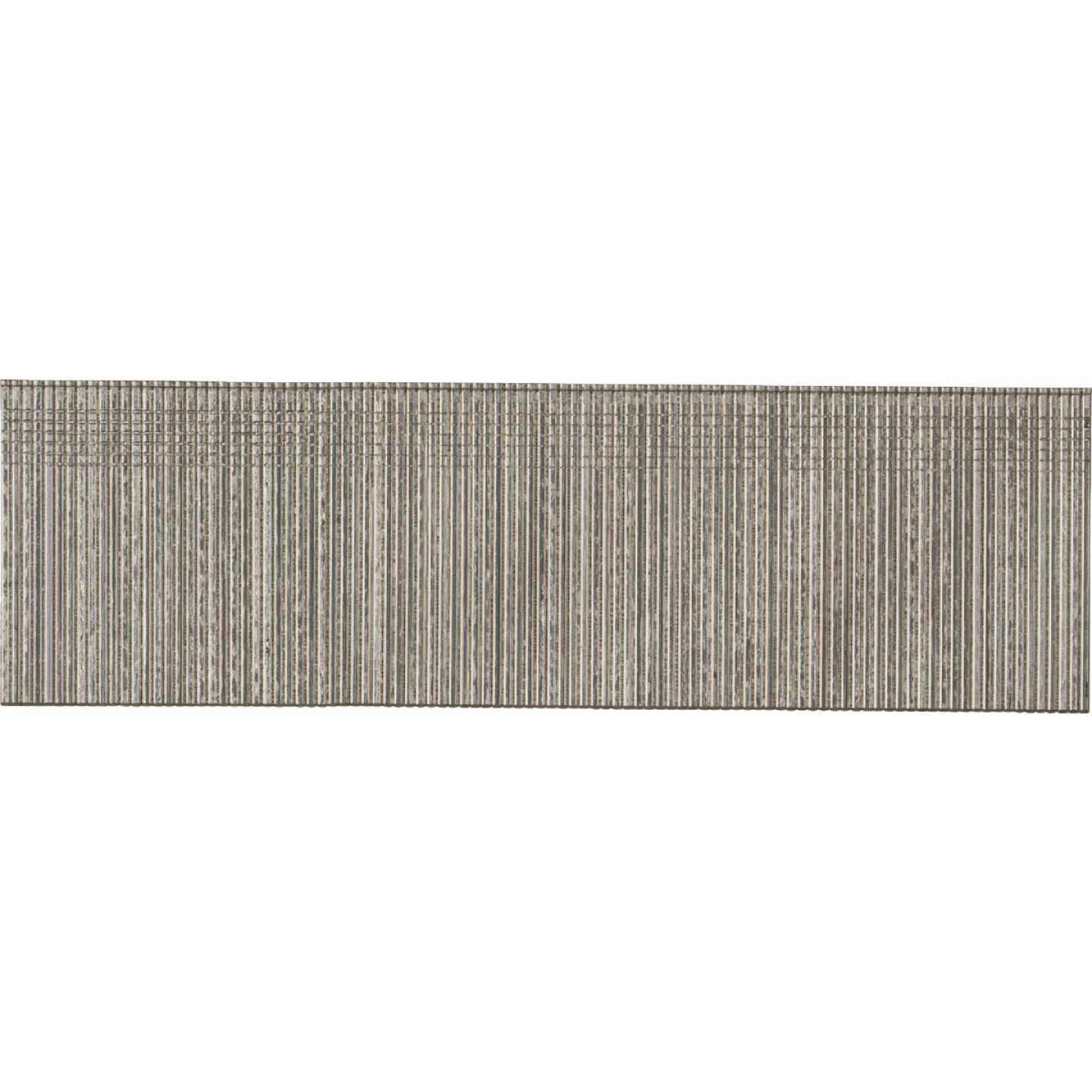 Pro-Fit 1-1/2 In. 18 Gauge 304-Stainless Steel Brad Nail (1000 Ct.) Image 1