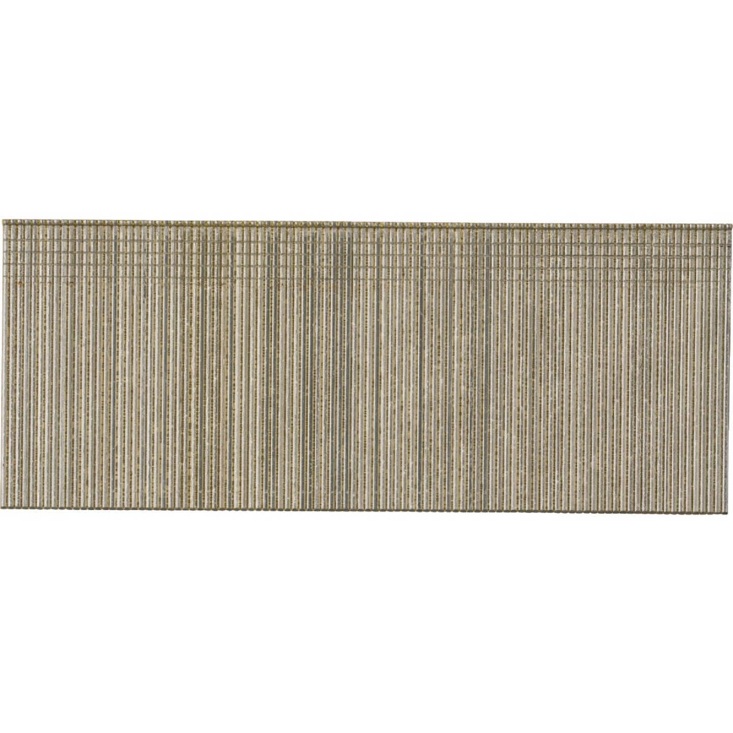 Pro-Fit 2 In. 18 Gauge 304-Stainless Steel Brad Nail (1000 Ct.) Image 1