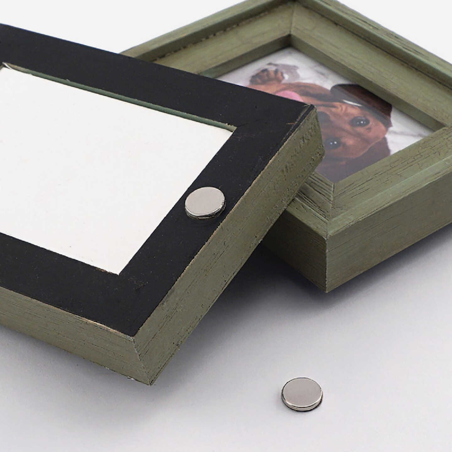 MagnetSource 1.68 Lb. Capacity Neodymium Disc Magnet with Adhesive (12-Pack) Image 2